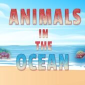 Animals In The Ocean Rhyme – Kids Rhymes